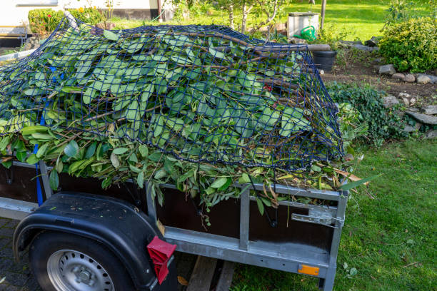 Best Scrap Metal Removal  in Carlinvle, IL